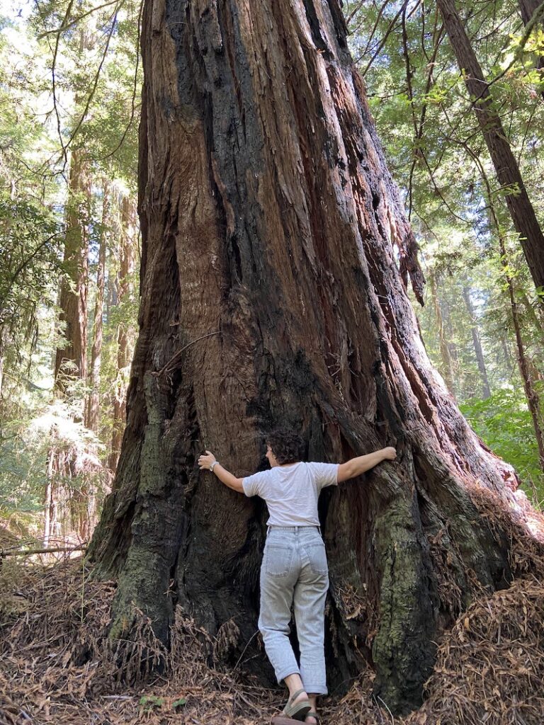 Haley in the forest hugging a redwood tree